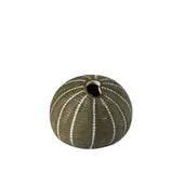 Nestling Vases - Forest, S/5 Plus Tray