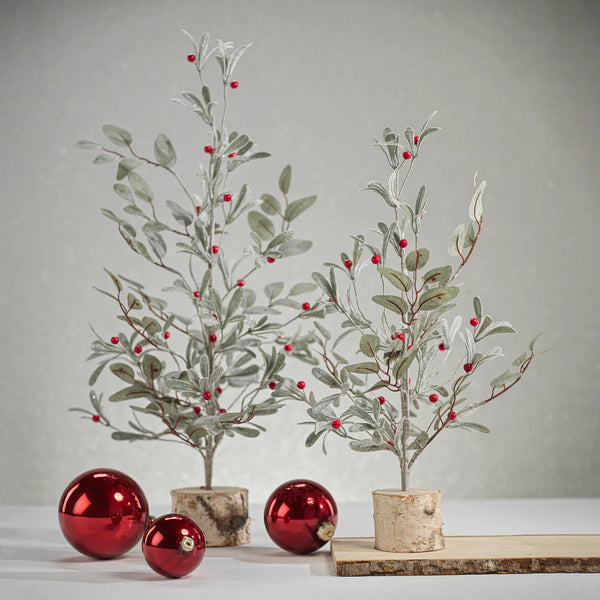 Frosted Eucalyptus Tree with Red Berries