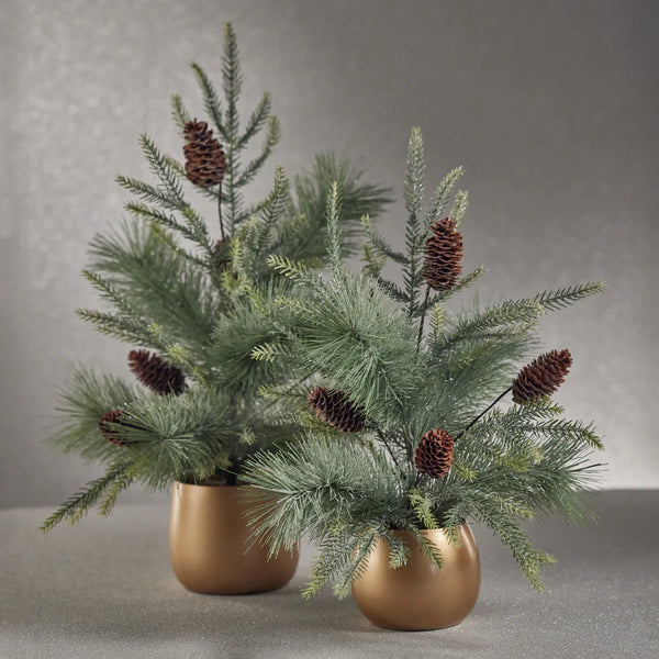 Noble Fir Tree in Gold Pot  24 in