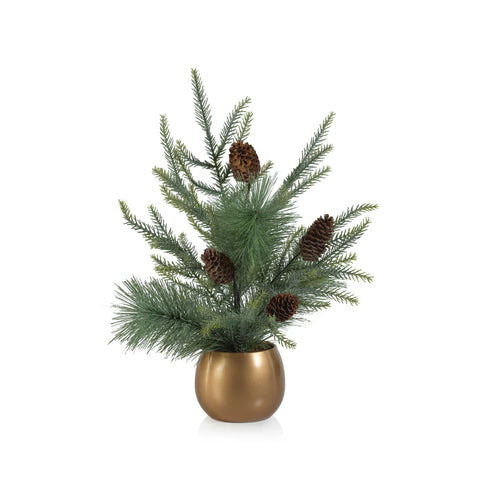 Noble Fir Tree in Gold Pot  19 in