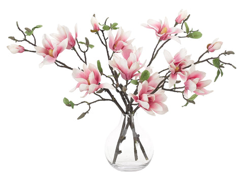 Magnolia Pink in Glass Bubble Vase