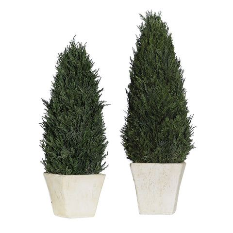 CYPRESS CONE TOPIARIES, S/2