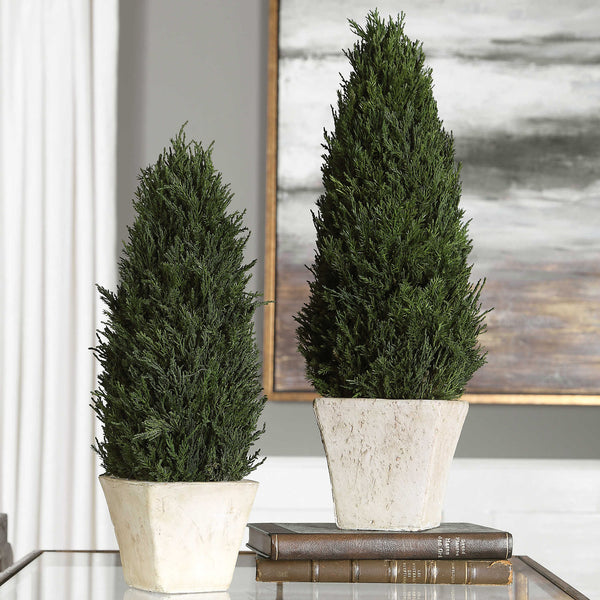 CYPRESS CONE TOPIARIES, S/2