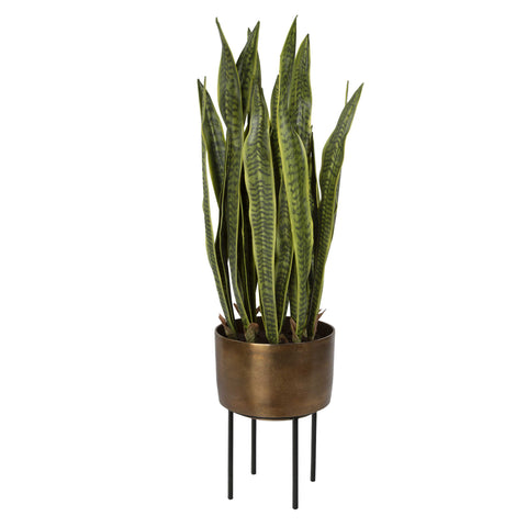 FASITA PLANTER